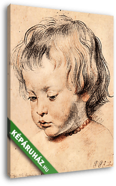 Rubens fia, Nicholas nyaklánccal - vászonkép 3D látványterv