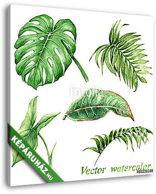 Set of watercolor tropical plants  leaves isolated on white. - vászonkép 3D látványterv