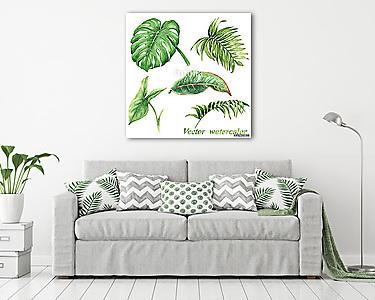 Set of watercolor tropical plants  leaves isolated on white. (vászonkép) - vászonkép, falikép otthonra és irodába