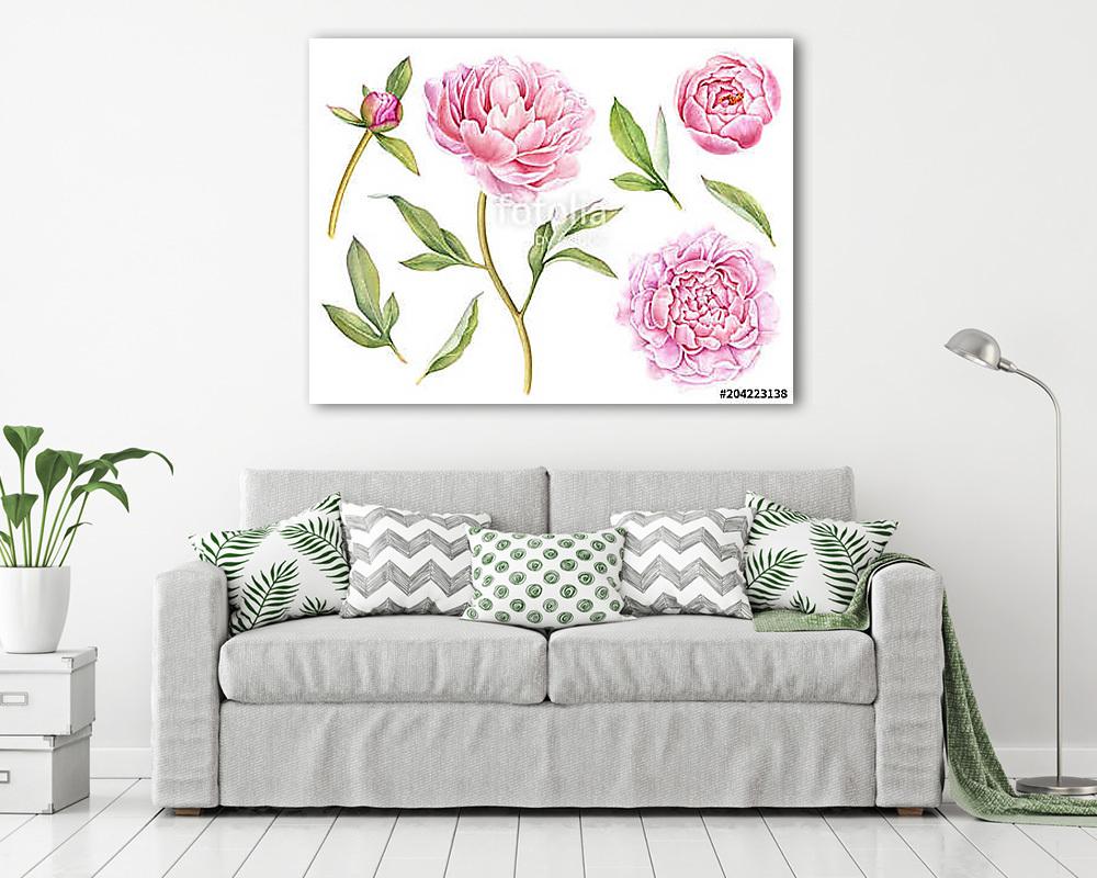 Hand painted floral elements collection. Watercolor botanical il - vászonkép, falikép vásárlás Hand painted floral elements collection. Watercolor botanical il (vászonkép) - vászonkép, falikép otthonra és irodába