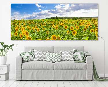Field with sunflowers - Swabian alb közelében (vászonkép) - vászonkép, falikép otthonra és irodába