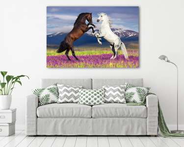 Barna és fehér ló a virágos mezőn, hegyekkel a háttérben (vászonkép) - vászonkép, falikép otthonra és irodába