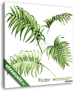 Watercolor palm leaves isolated on white. - vászonkép 3D látványterv
