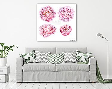 Set of watercolor peonies isolated on white background. (vászonkép) - vászonkép, falikép otthonra és irodába