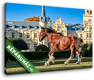 Ló a kastélyban  - vászonkép 3D látványterv