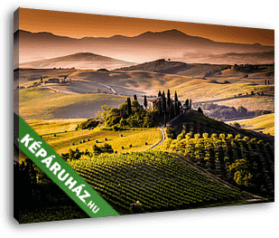 Tájkép, Toszkána - Olaszország - vászonkép 3D látványterv