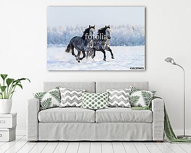Galambszürke lovak a hóban (vászonkép) - vászonkép, falikép otthonra és irodába