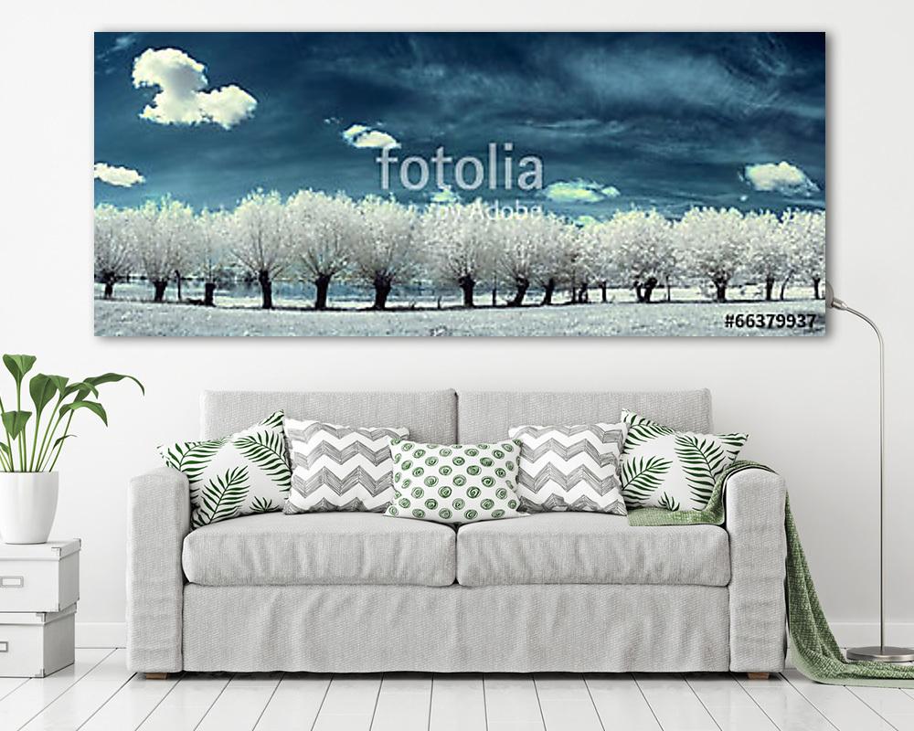 fűz az infravörösben (fotótapéta) - vászonkép, falikép otthonra és irodába