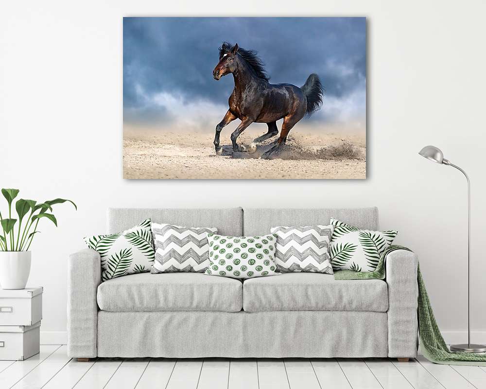 A gyönyörű öböllány homokos mezőben galoppál a sötétkék ellen  - vászonkép, falikép vásárlás A gyönyörű öböllány homokos mezőben galoppál a sötétkék ellen  (vászonkép) - vászonkép, falikép otthonra és irodába
