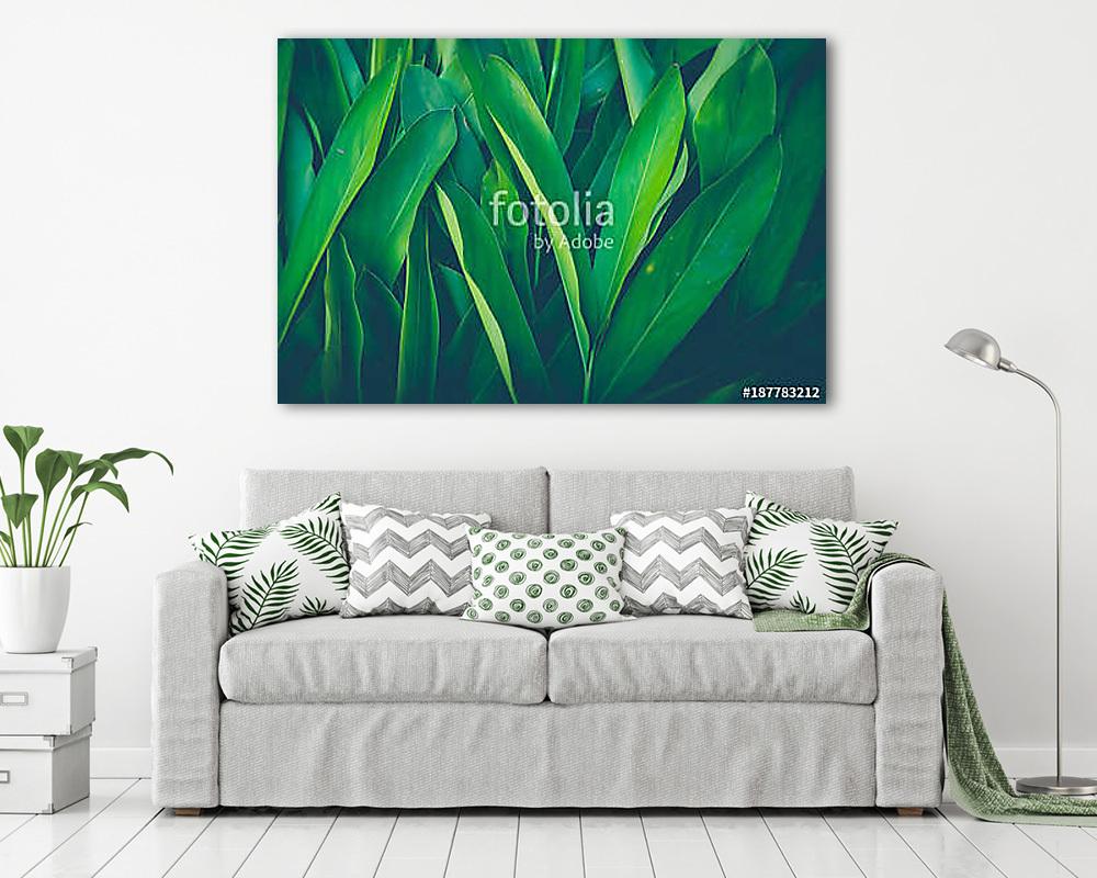 Friss trópusi zöld levelek (vászonkép) - vászonkép, falikép otthonra és irodába
