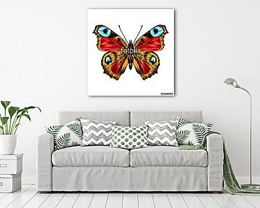 butterfly with open wings top view, the symmetrical drawing, gra (vászonkép) - vászonkép, falikép otthonra és irodába