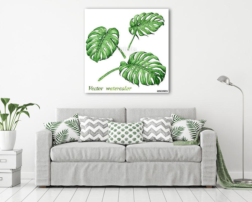 Set of watercolor tropical plants  leaves. (fotótapéta) - vászonkép, falikép otthonra és irodába