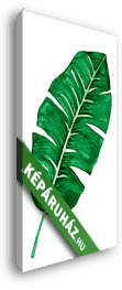 Zöld levél - vászonkép 3D látványterv