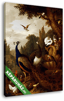 Páva és egyéb madarak a parkban - vászonkép 3D látványterv