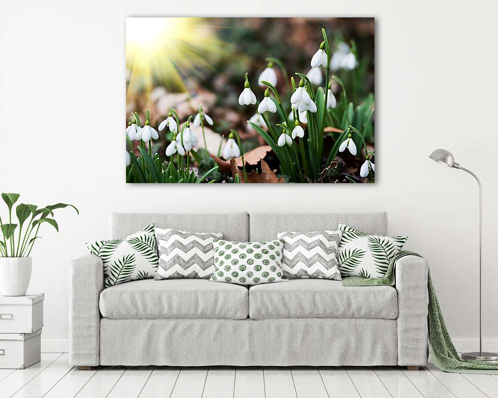 Hóvirág és napsütés (fotótapéta) - vászonkép, falikép otthonra és irodába