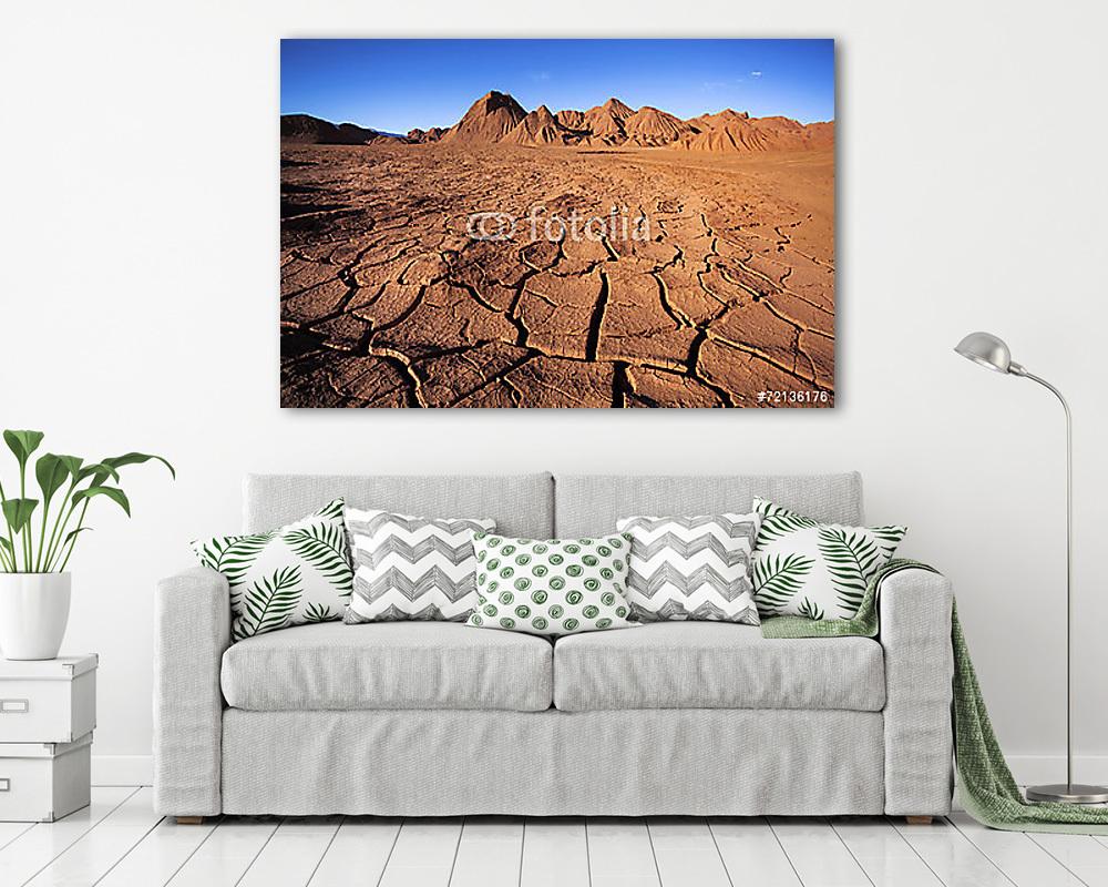 Tolar Grande, Salta, Argentína (bögre) - vászonkép, falikép otthonra és irodába