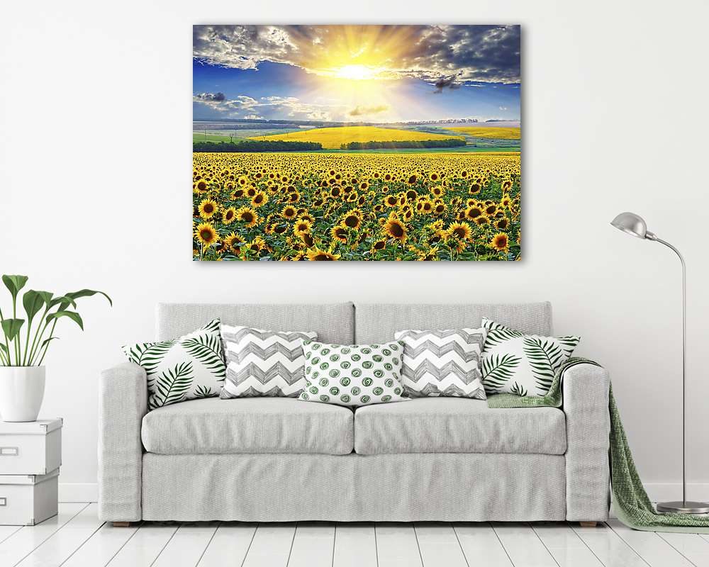 Napraforgó mező reggel - vászonkép, falikép vásárlás Napraforgó mező reggel (vászonkép) - vászonkép, falikép otthonra és irodába