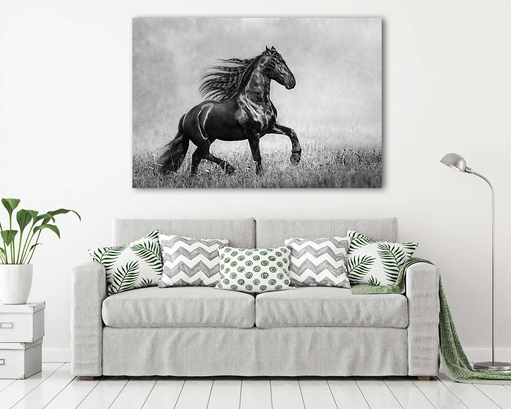 A fekete fríz mén az őszi ködös területen (többrészes kép) - vászonkép, falikép otthonra és irodába