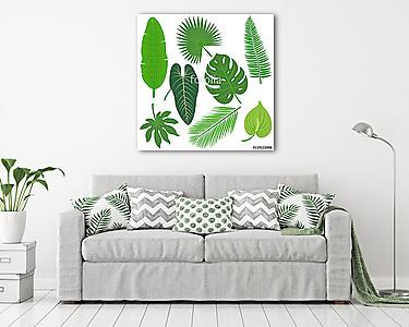Trópusi növények levelei (vászonkép) - vászonkép, falikép otthonra és irodába