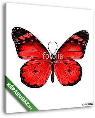 butterfly with open wings top view, the symmetrical drawing, gra - vászonkép 3D látványterv