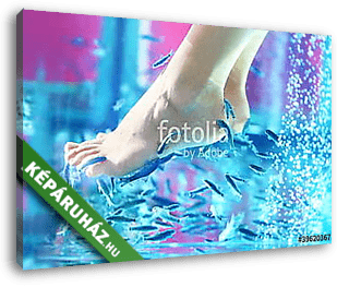 Pedicure fish spa - rufa garra - vászonkép 3D látványterv