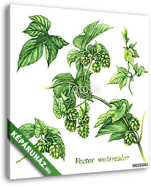 Branch of hops - vászonkép 3D látványterv