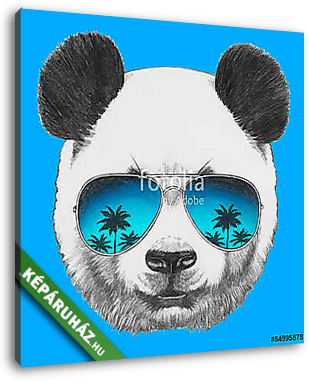 Hand drawn portrait of Panda with mirror sunglasses. Vector isol - vászonkép 3D látványterv