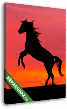 Ló sziluett  - vászonkép 3D látványterv