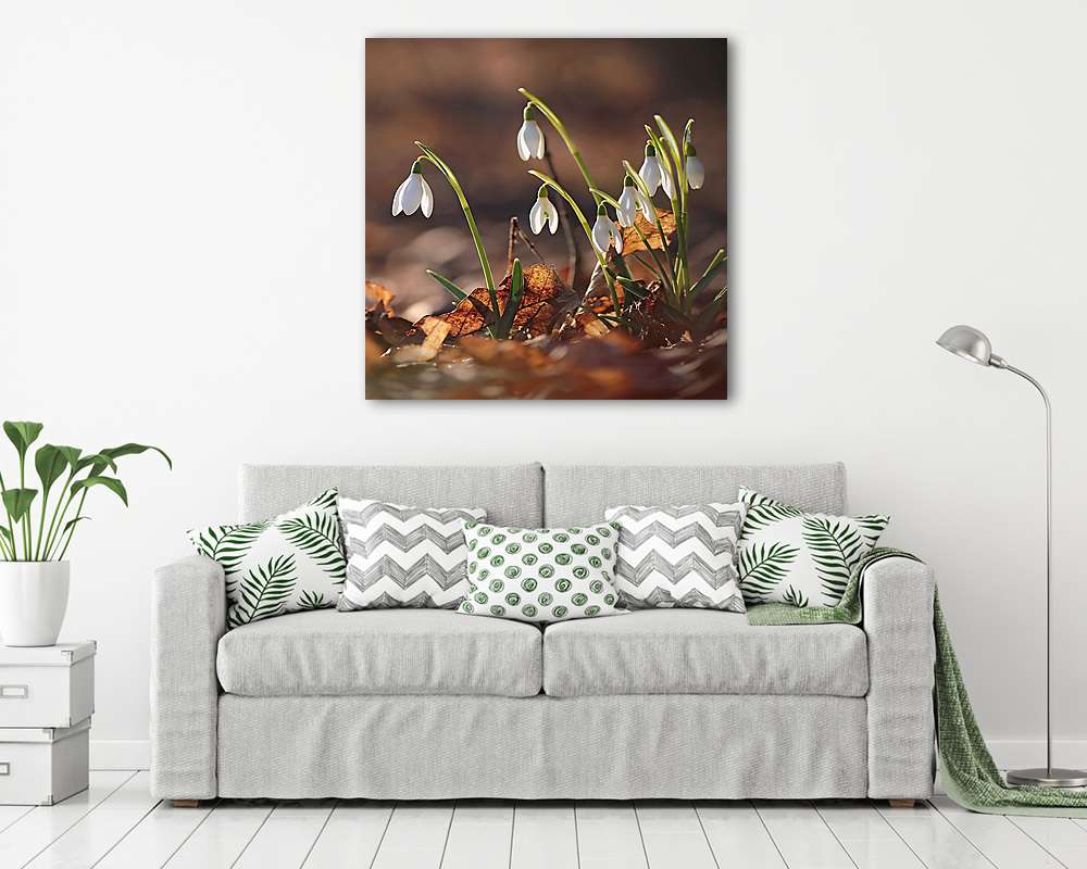 Hóvirágok az avarban (négyzet méretarány) (vászonkép) - vászonkép, falikép otthonra és irodába