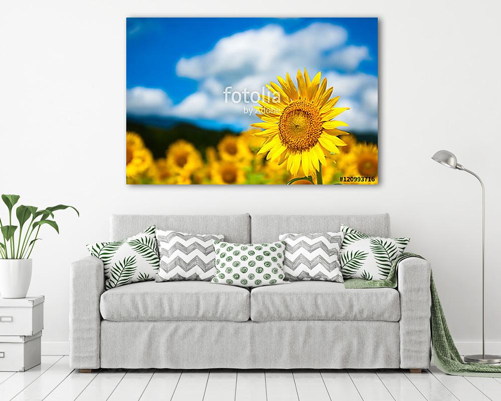 Napraforgó (vászonkép) - vászonkép, falikép otthonra és irodába