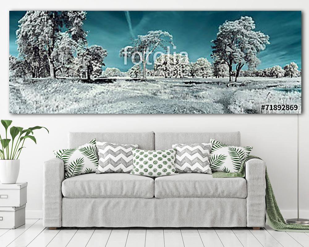 tájkép az infravörösben (fotótapéta) - vászonkép, falikép otthonra és irodába