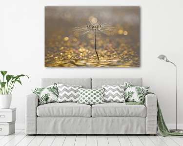 Dandelion with droplets of water on a sparkling gold background. (vászonkép) - vászonkép, falikép otthonra és irodába