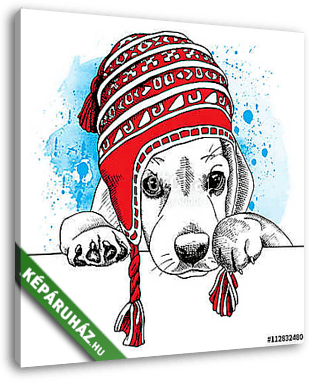 The poster with the image of the dog Beagle in the Chullo long k - vászonkép 3D látványterv