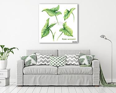 Set of watercolor green leaves. (vászonkép) - vászonkép, falikép otthonra és irodába