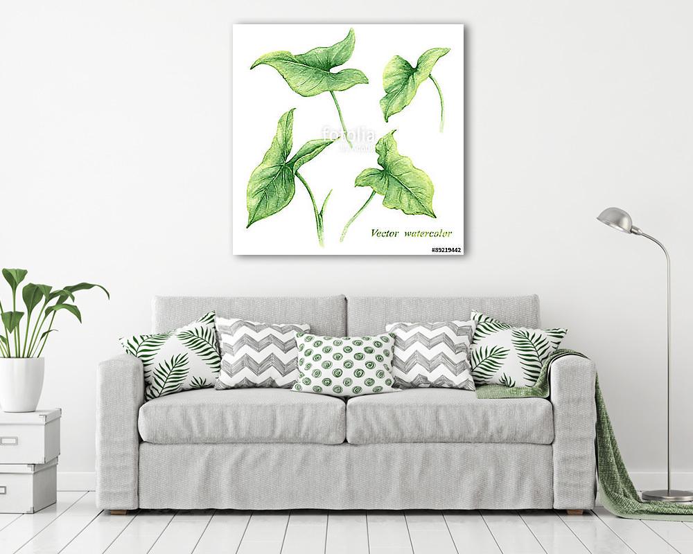 Set of watercolor green leaves. (vászonkép) - vászonkép, falikép otthonra és irodába