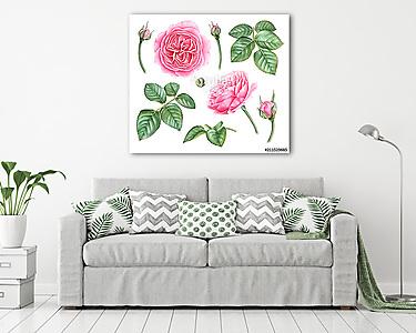 Set of highly detailed watercolor roses, buds, leaves isolated o (vászonkép) - vászonkép, falikép otthonra és irodába