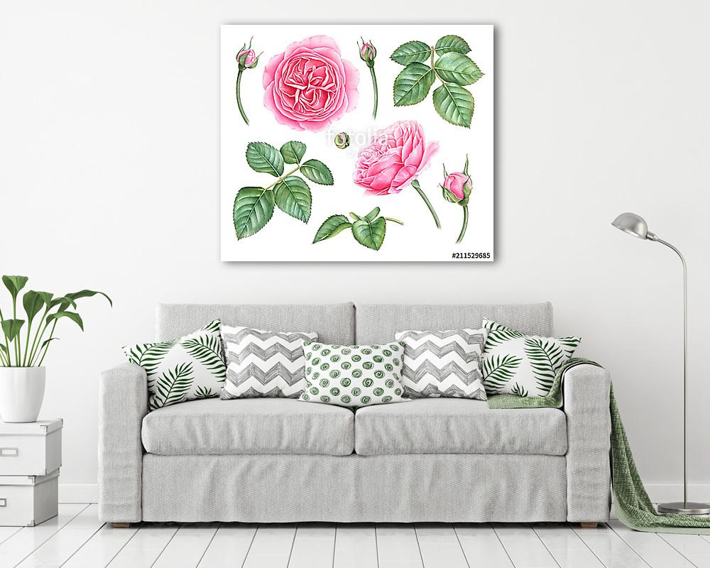Set of highly detailed watercolor roses, buds, leaves isolated o - vászonkép, falikép vásárlás Set of highly detailed watercolor roses, buds, leaves isolated o (vászonkép) - vászonkép, falikép otthonra és irodába