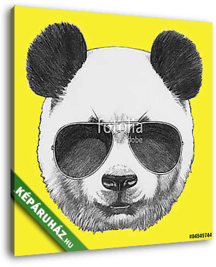 Hand drawn portrait of Panda with sunglasses. Vector isolated el - vászonkép 3D látványterv