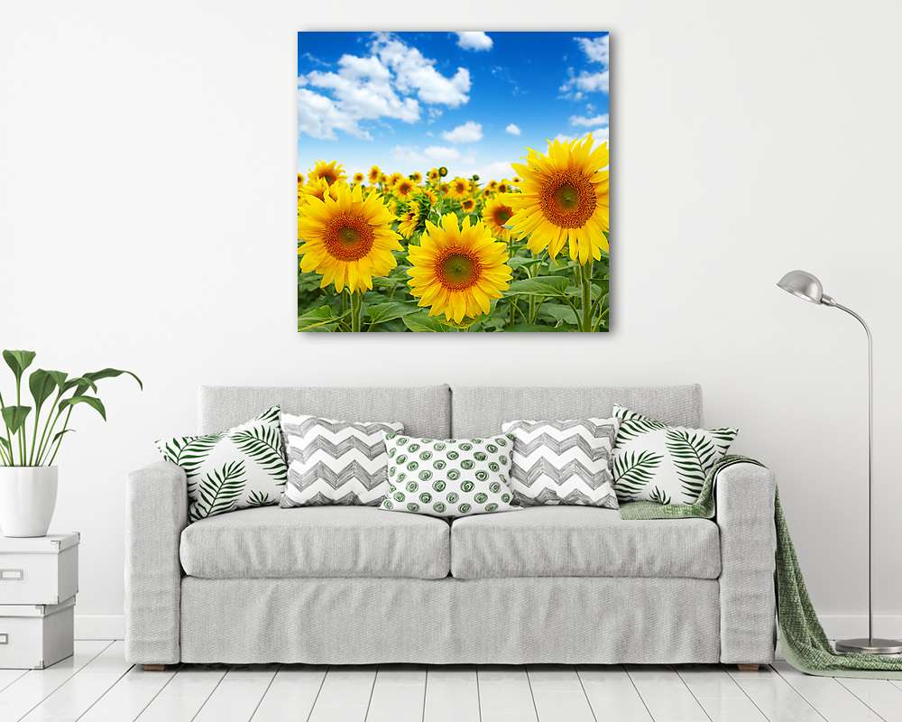 napraforgók mező égen - vászonkép, falikép vásárlás napraforgók mező égen (bögre) - vászonkép, falikép otthonra és irodába