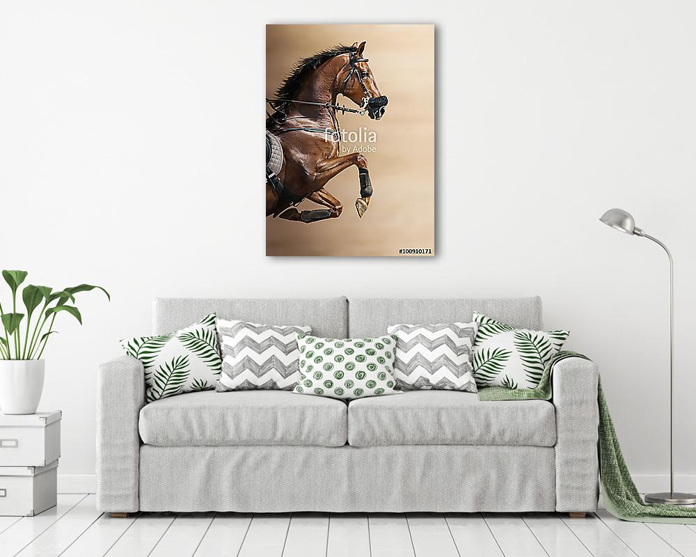 Közelkép a gesztenyés ugráló ló egy hackamore (többrészes kép) - vászonkép, falikép otthonra és irodába