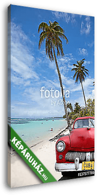kubai kocsi a kókuszfa alatt - vászonkép 3D látványterv