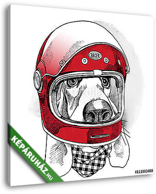 The image of the dog Racer in the modern helmet. Vector illustra - vászonkép 3D látványterv