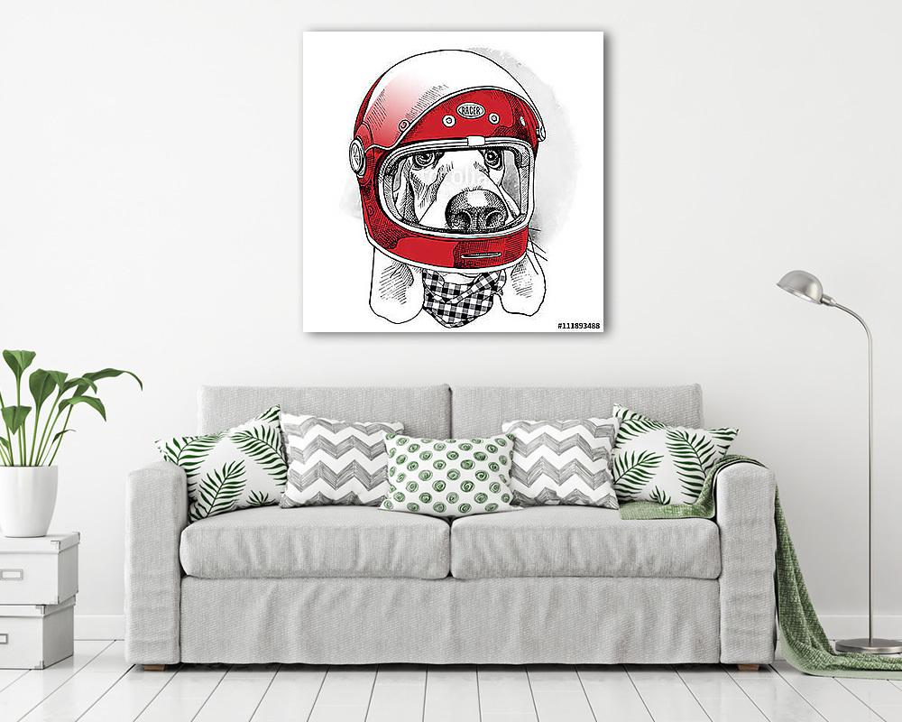 The image of the dog Racer in the modern helmet. Vector illustra (vászonkép) - vászonkép, falikép otthonra és irodába