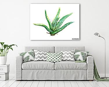 Watercolor Aloe Vera (vászonkép) - vászonkép, falikép otthonra és irodába