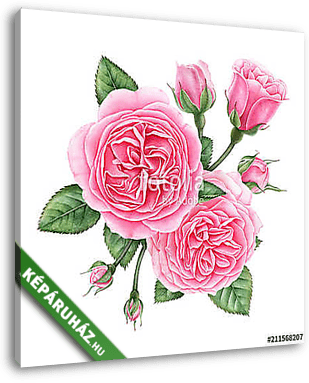 Floral composition of pink english roses, buds and leaves isolat - vászonkép 3D látványterv