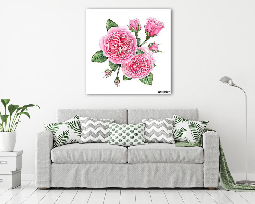 Floral composition of pink english roses, buds and leaves isolat (vászonkép) - vászonkép, falikép otthonra és irodába