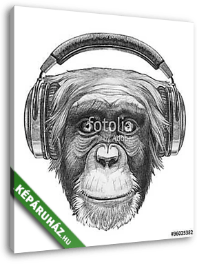 Portrait of Monkey with headphones. Hand drawn illustration. - vászonkép 3D látványterv