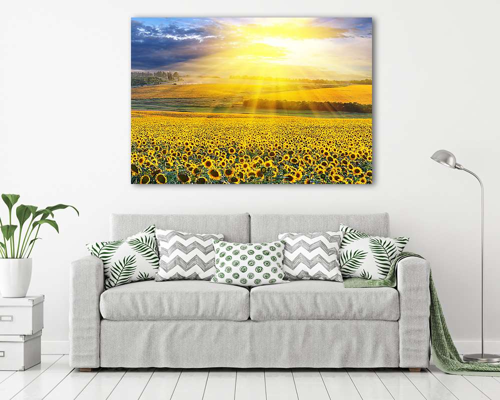 Napnyugta a mezőn - vászonkép, falikép vásárlás Napnyugta a mezőn (fotótapéta) - vászonkép, falikép otthonra és irodába