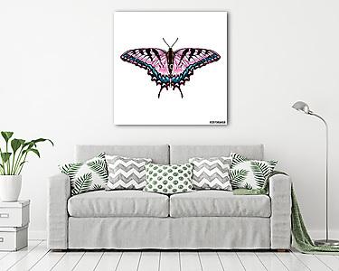 pink butterfly with blue pattern on the wings of the symmetric t (vászonkép) - vászonkép, falikép otthonra és irodába