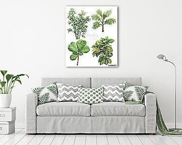 Watercolor tropical plants (vászonkép) - vászonkép, falikép otthonra és irodába